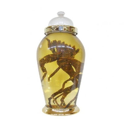 Bán nhân sâm ngâm rượu bình30 lít - 