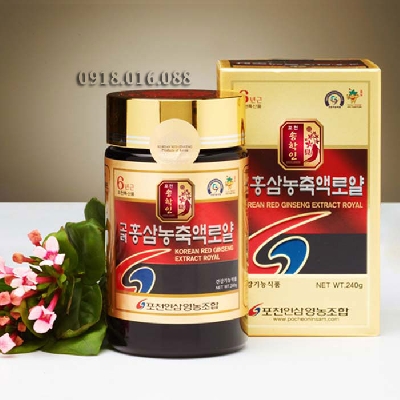 Cao hồng sâm Hàn Quốc 240g - 