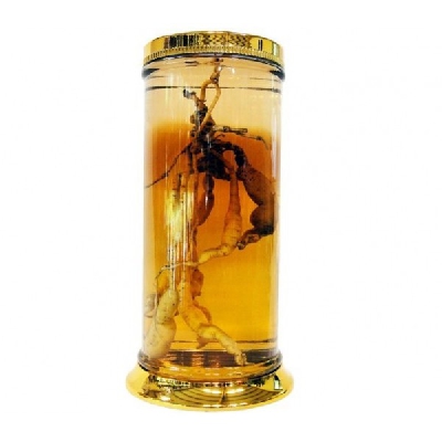 Sâm tươi Hàn Quốc ngâm rượu cực lớn 73 lít - 